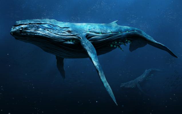 Neo Whale