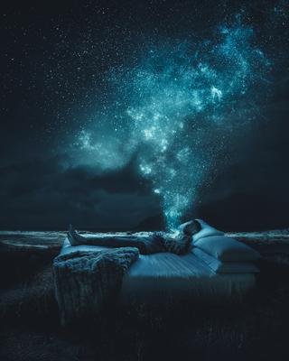 Dreams to Dust
