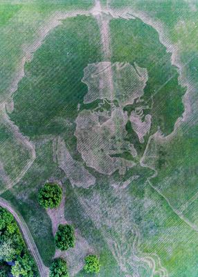 Beethoven in Grass