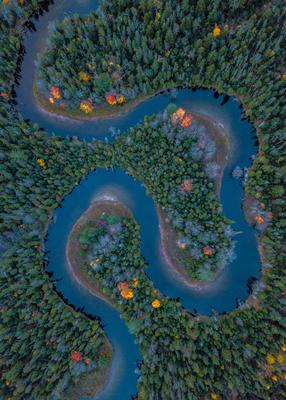 Autumn Oxbow