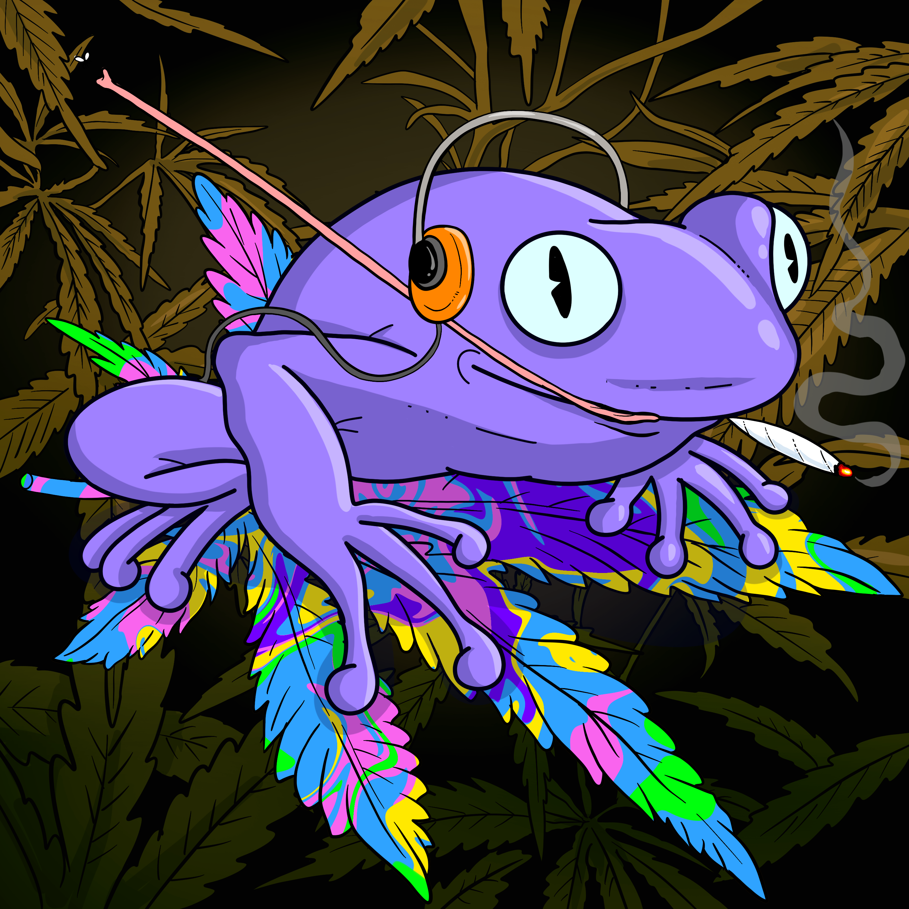 Collie Buddz Twisted Tree Frogs Massive #1104