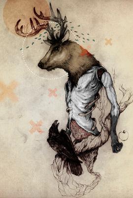 Deer