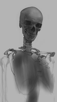 Skull