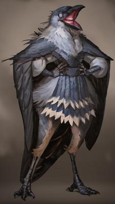 Jackdaw